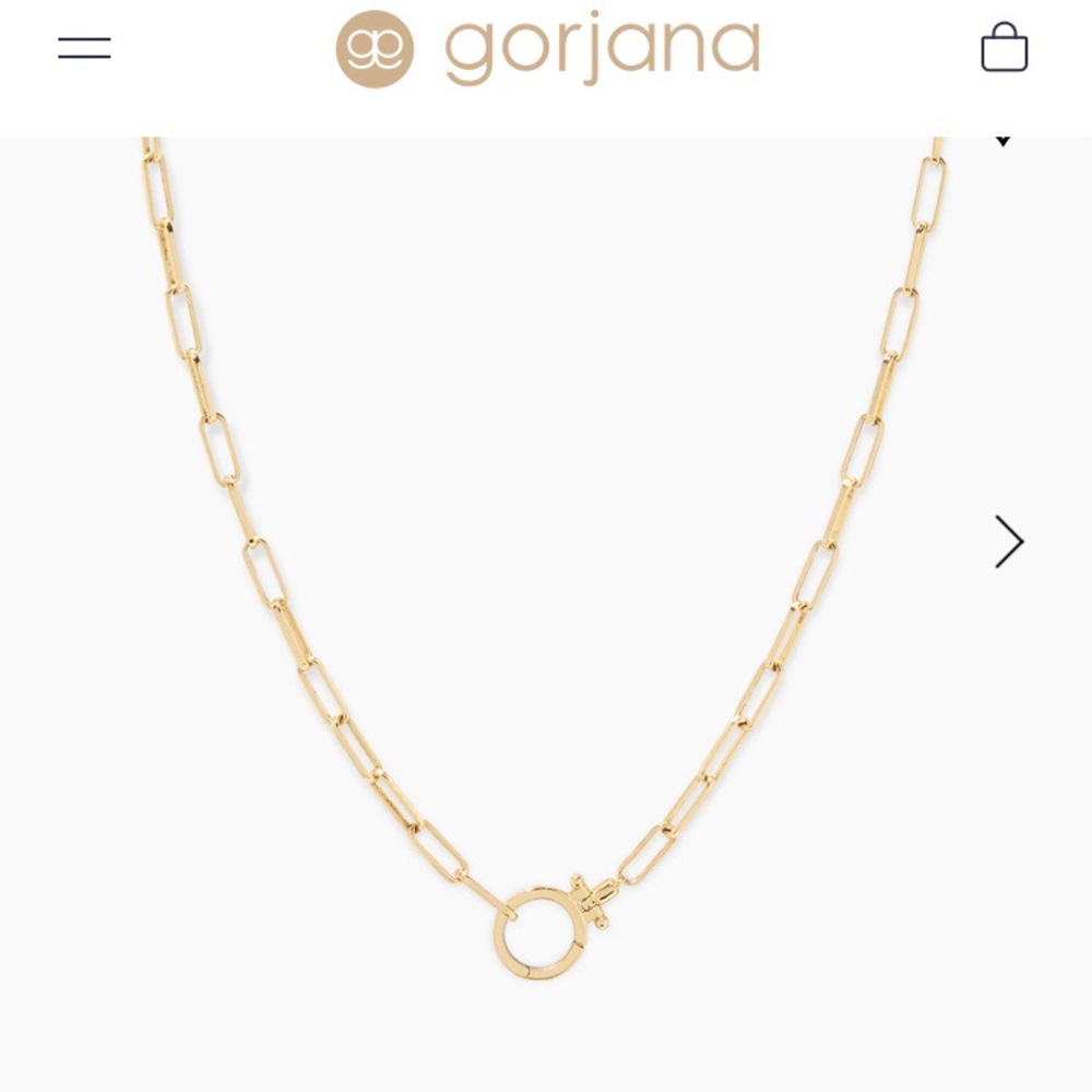 Gorjana Parker necklace. Never worn